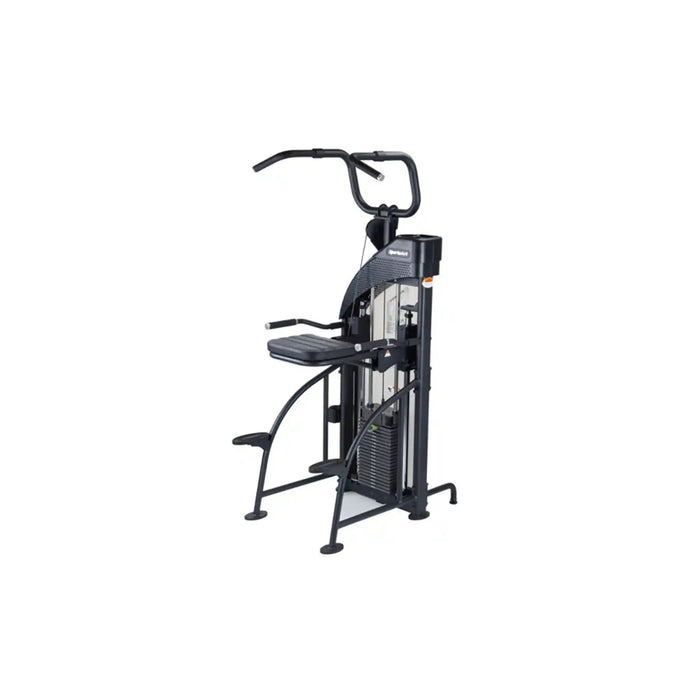 SportsArt DF-307/P711 Performance Dual Function Chin-Up/Triceps Dip | Athlete Recovery Depot