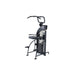 SportsArt DF-307/P711 Performance Dual Function Chin-Up/Triceps Dip | Athlete Recovery Depot
